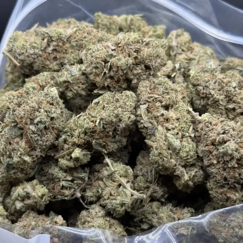 Bulk Death Bubba cannabis buds arranged together, showing dense dark green and purple tones with orange pistils and frosty trichomes.