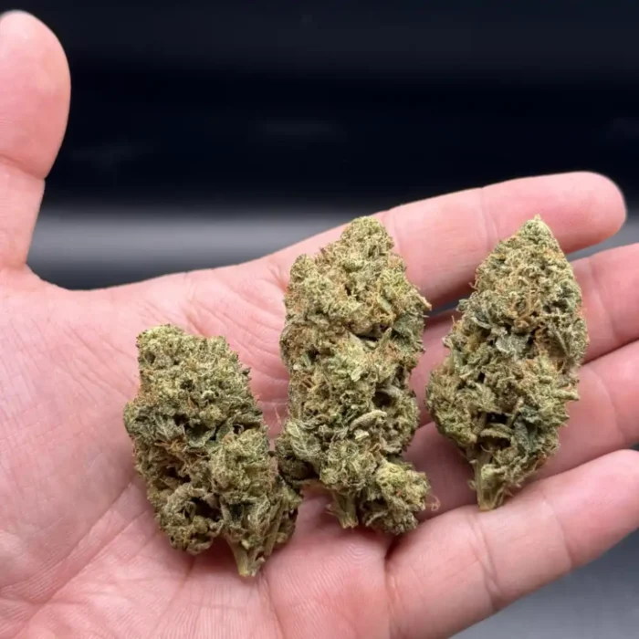 Death Bubba cannabis bud held in hand to show average size and density.