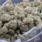 Bulk Pink Kush AA cannabis buds with pink pistils, purple accents, and frosty trichomes.