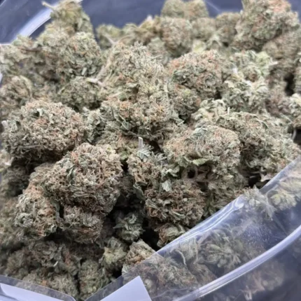 Bulk Pink Kush AA cannabis buds with pink pistils, purple accents, and frosty trichomes.