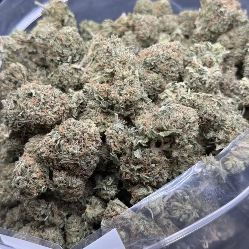 Bulk Pink Kush AA cannabis buds with pink pistils, purple accents, and frosty trichomes.