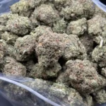 Bulk Pink God cannabis buds with pink pistils, purple hues, and frosty trichomes.