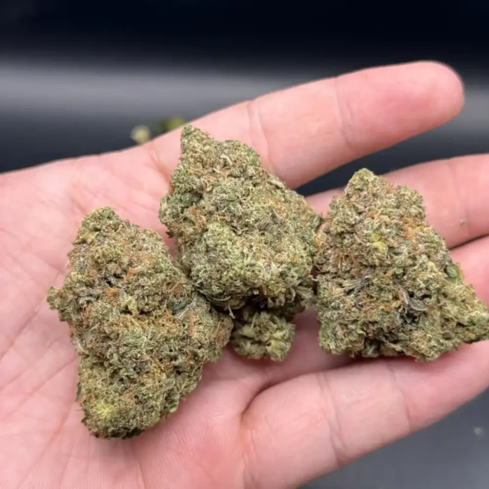 Pink God cannabis bud held in hand for size and density reference.
