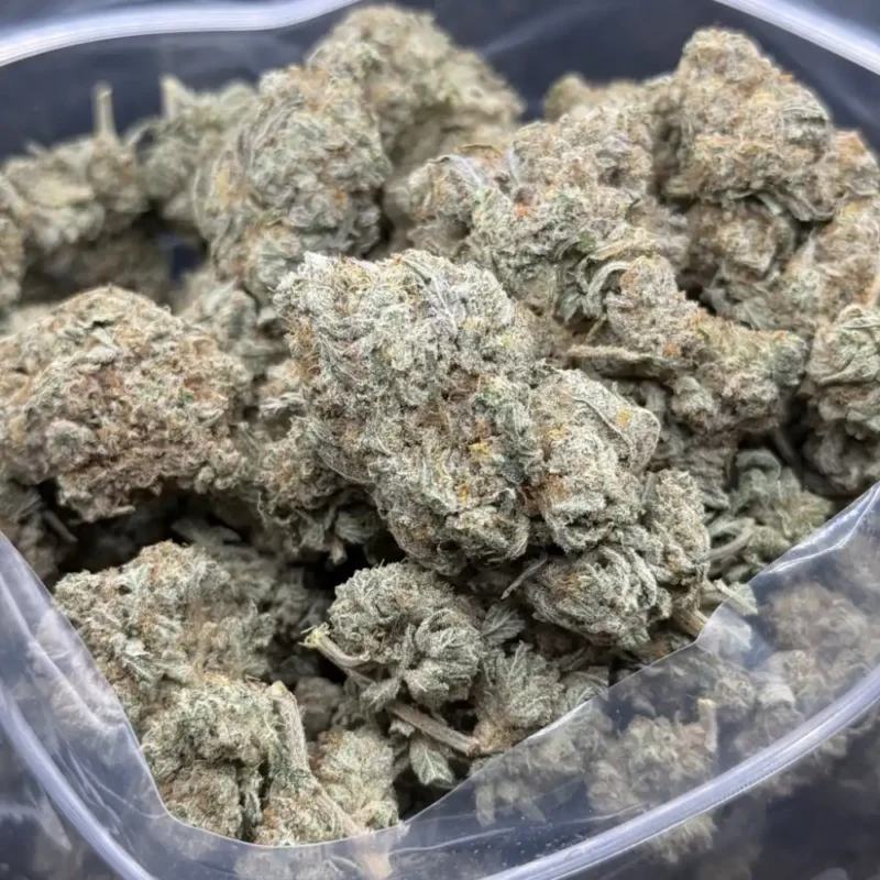Bulk White Widow cannabis buds covered in thick white trichomes.