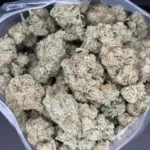 Close-up bulk shot of White Widow buds showing frosty trichomes and bright orange pistils.